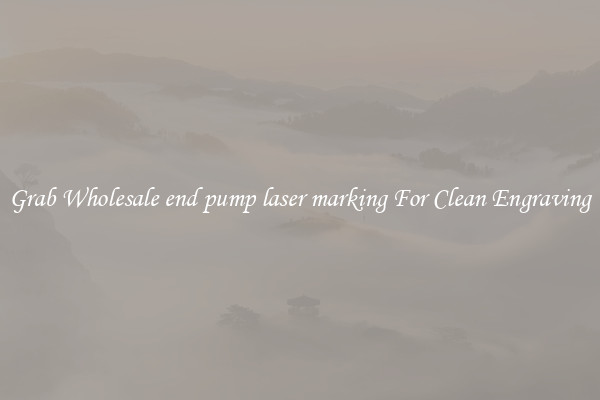 Grab Wholesale end pump laser marking For Clean Engraving