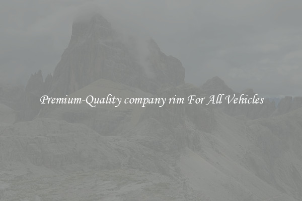Premium-Quality company rim For All Vehicles