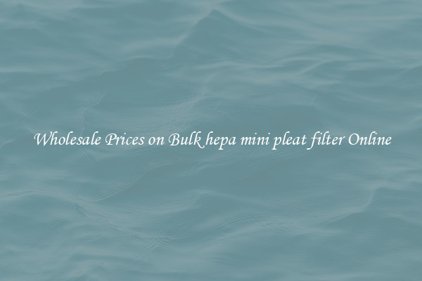 Wholesale Prices on Bulk hepa mini pleat filter Online