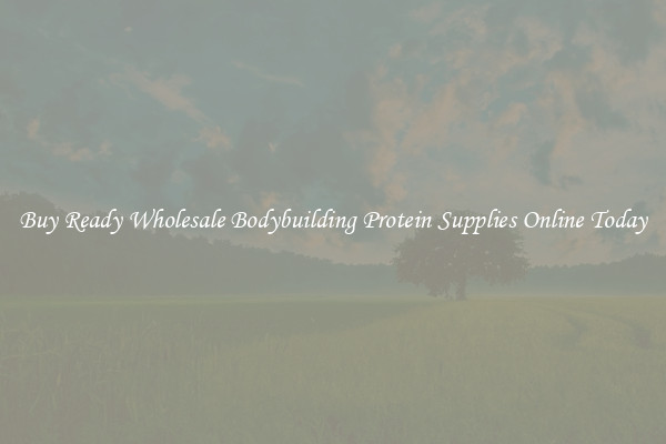 Buy Ready Wholesale Bodybuilding Protein Supplies Online Today