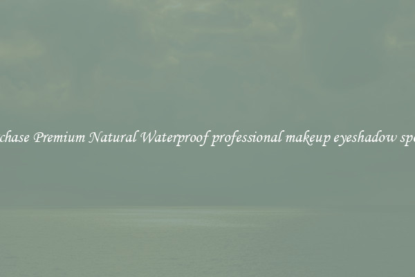 Purchase Premium Natural Waterproof professional makeup eyeshadow sponge