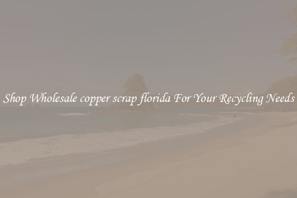 Shop Wholesale copper scrap florida For Your Recycling Needs