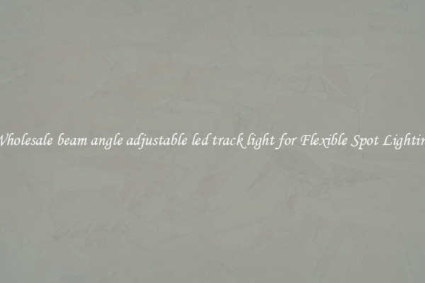 Wholesale beam angle adjustable led track light for Flexible Spot Lighting