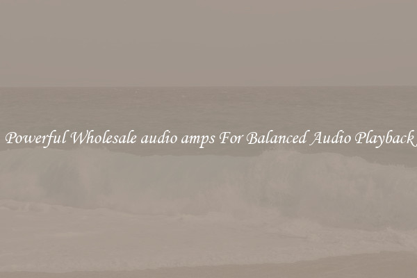 Powerful Wholesale audio amps For Balanced Audio Playback