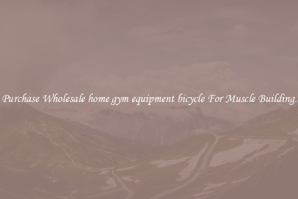 Purchase Wholesale home gym equipment bicycle For Muscle Building.