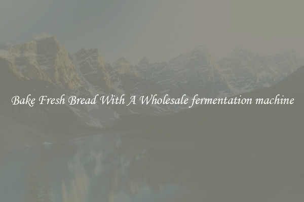 Bake Fresh Bread With A Wholesale fermentation machine