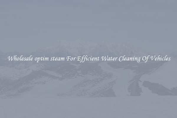 Wholesale optim steam For Efficient Water Cleaning Of Vehicles