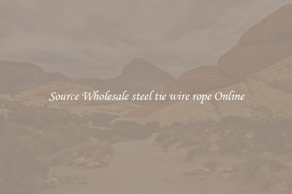 Source Wholesale steel tie wire rope Online