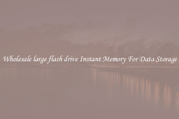 Wholesale large flash drive Instant Memory For Data Storage
