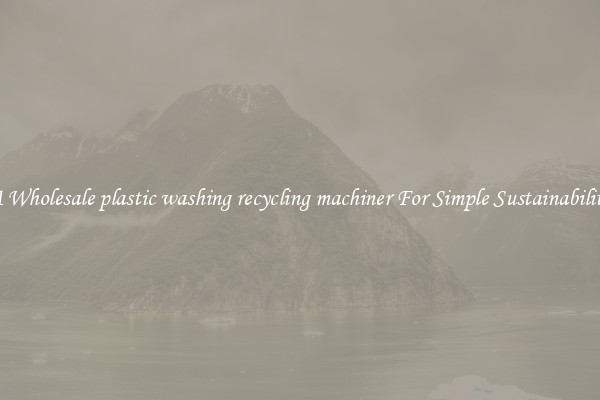  A Wholesale plastic washing recycling machiner For Simple Sustainability 