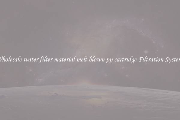Wholesale water filter material melt blown pp cartridge Filtration Systems