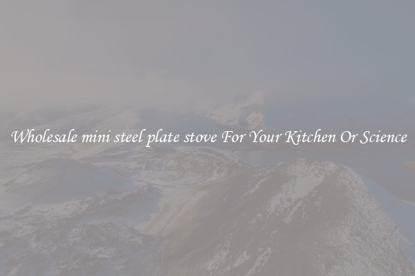 Wholesale mini steel plate stove For Your Kitchen Or Science