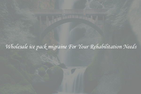 Wholesale ice pack migraine For Your Rehabilitation Needs