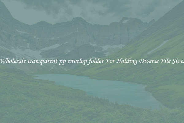 Wholesale transparent pp envelop folder For Holding Diverse File Sizes