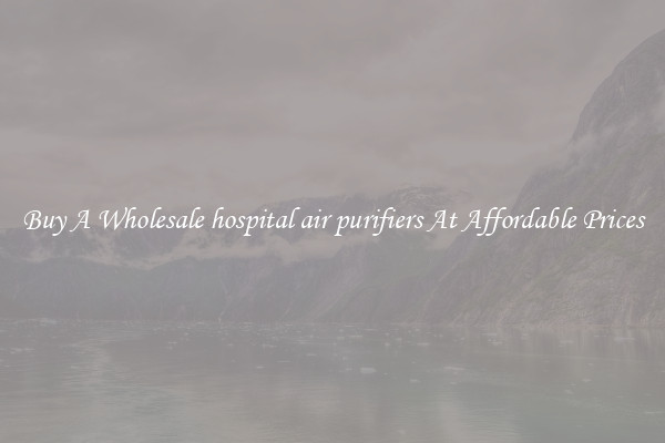 Buy A Wholesale hospital air purifiers At Affordable Prices