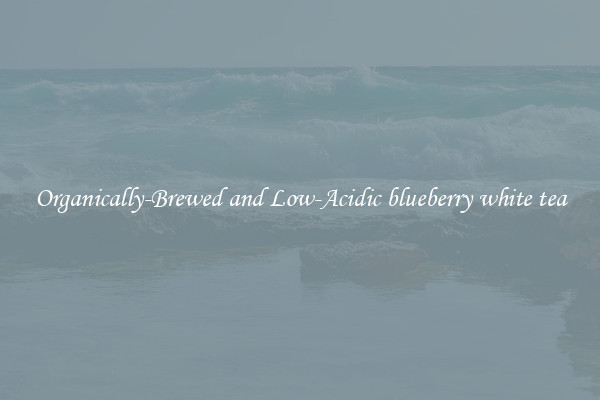 Organically-Brewed and Low-Acidic blueberry white tea